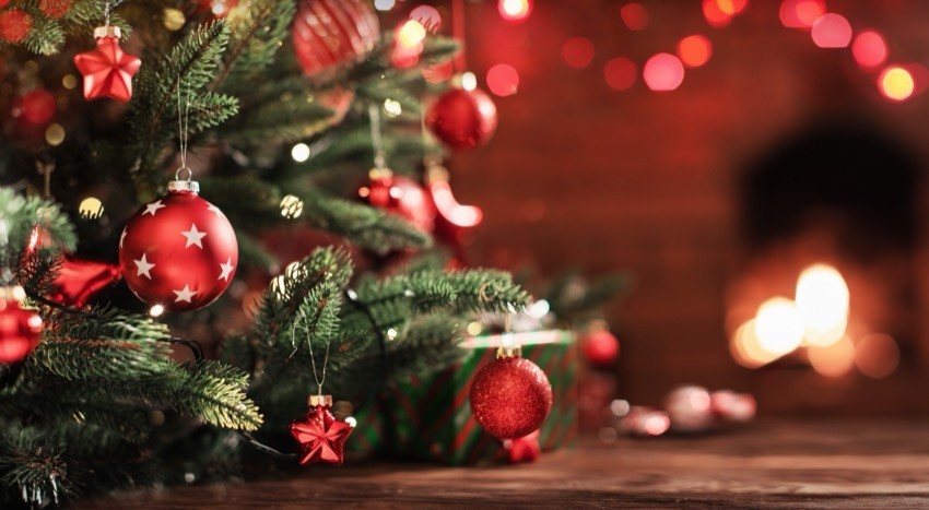 カインズの商品を使ったくらしのアイデア投稿でポイントをGET