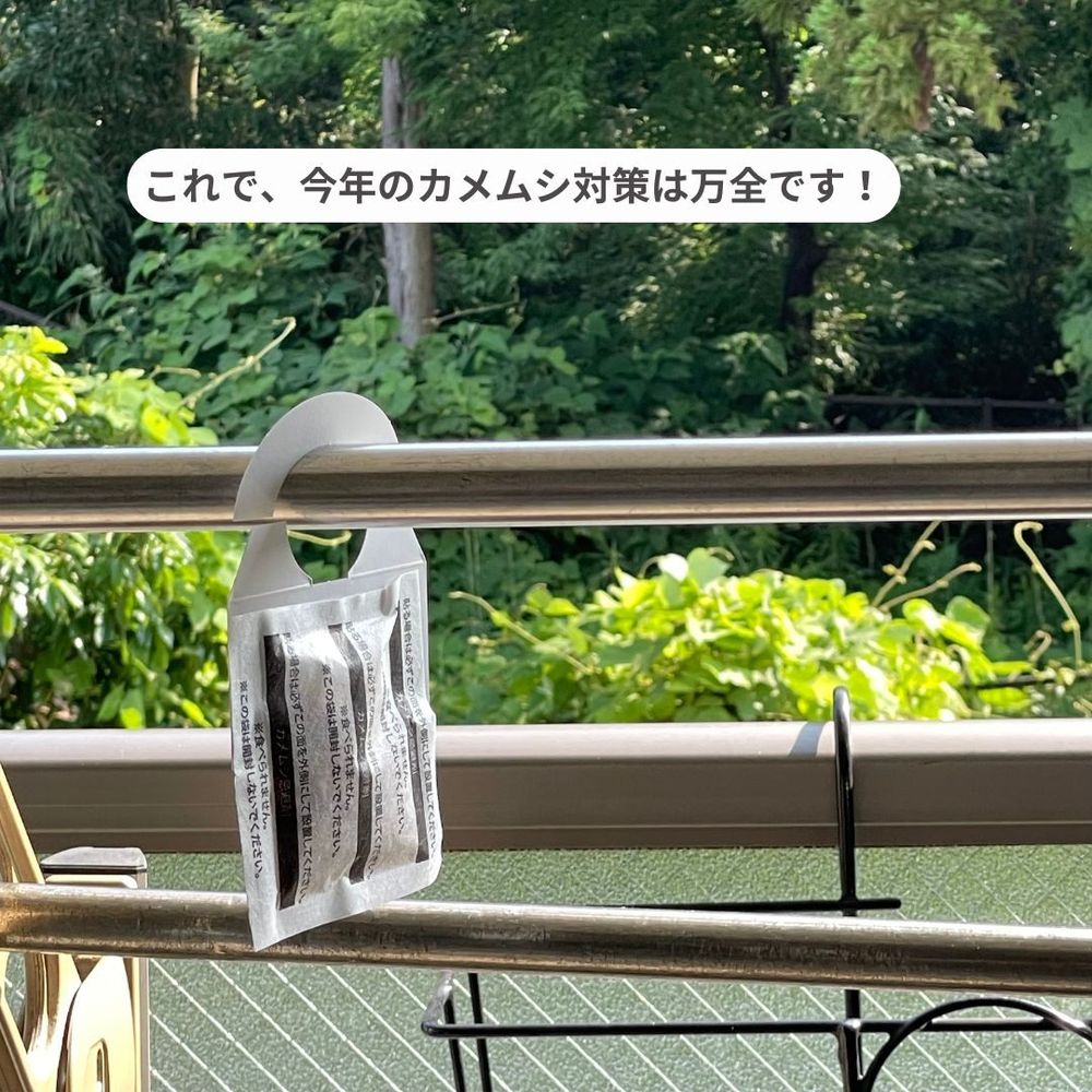 ※ブルースさま専用　カメムシ2000匹捕獲応援価格 ブルースさま専用 カメムシ2000匹捕獲応援価格 ◇新発売の
