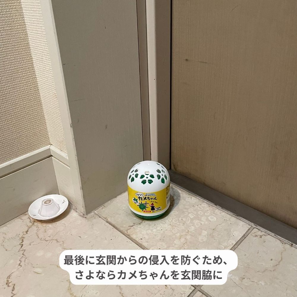 かめちゃん様 確認用 グローバルジャパン さよならカメちゃん 掛けタイプ｜441245
