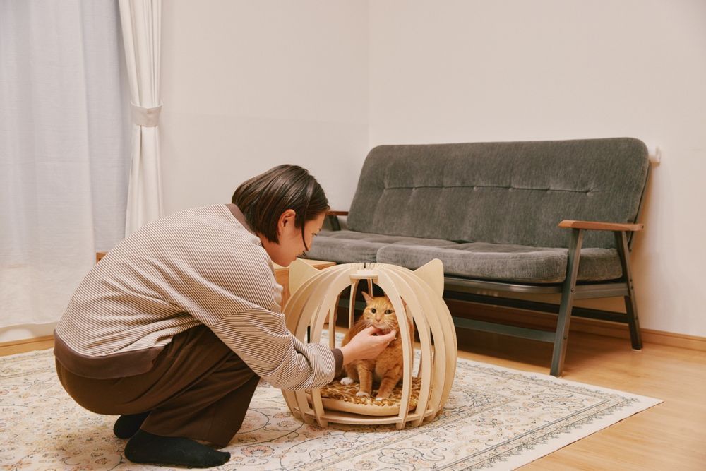 ねこのねどこ「使用事例」 #1