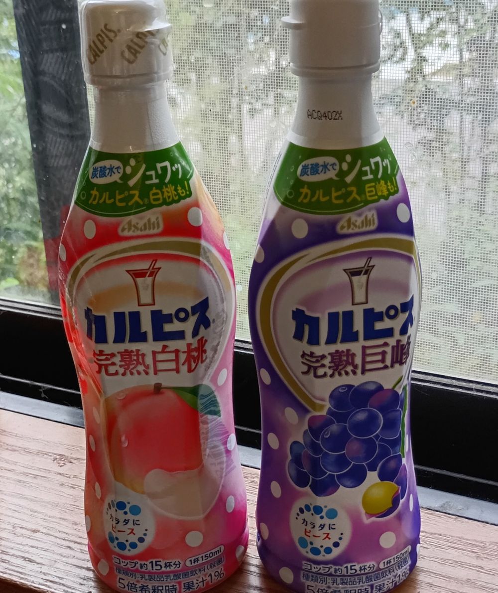 夏休みといえば！ | くらシェア