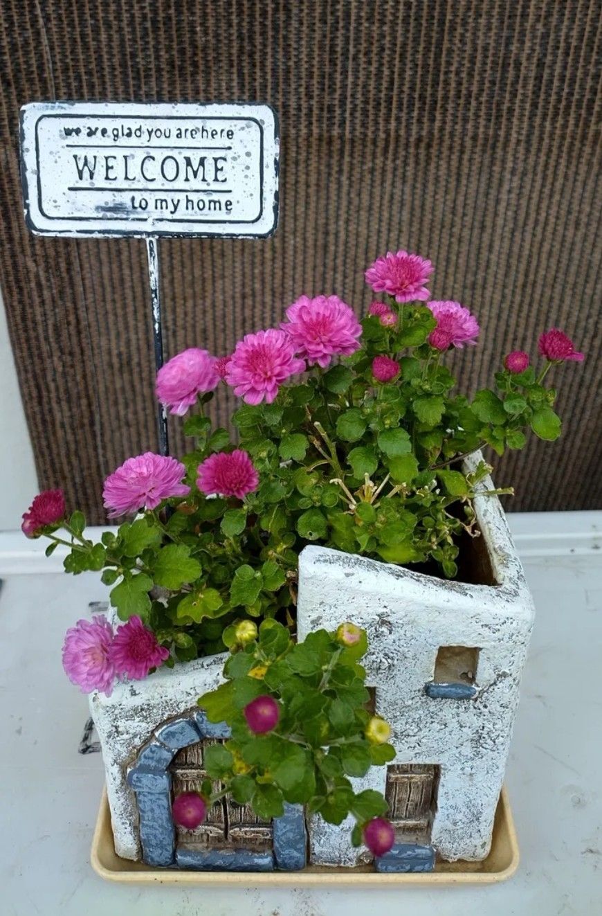 寄せ植え | くらシェア