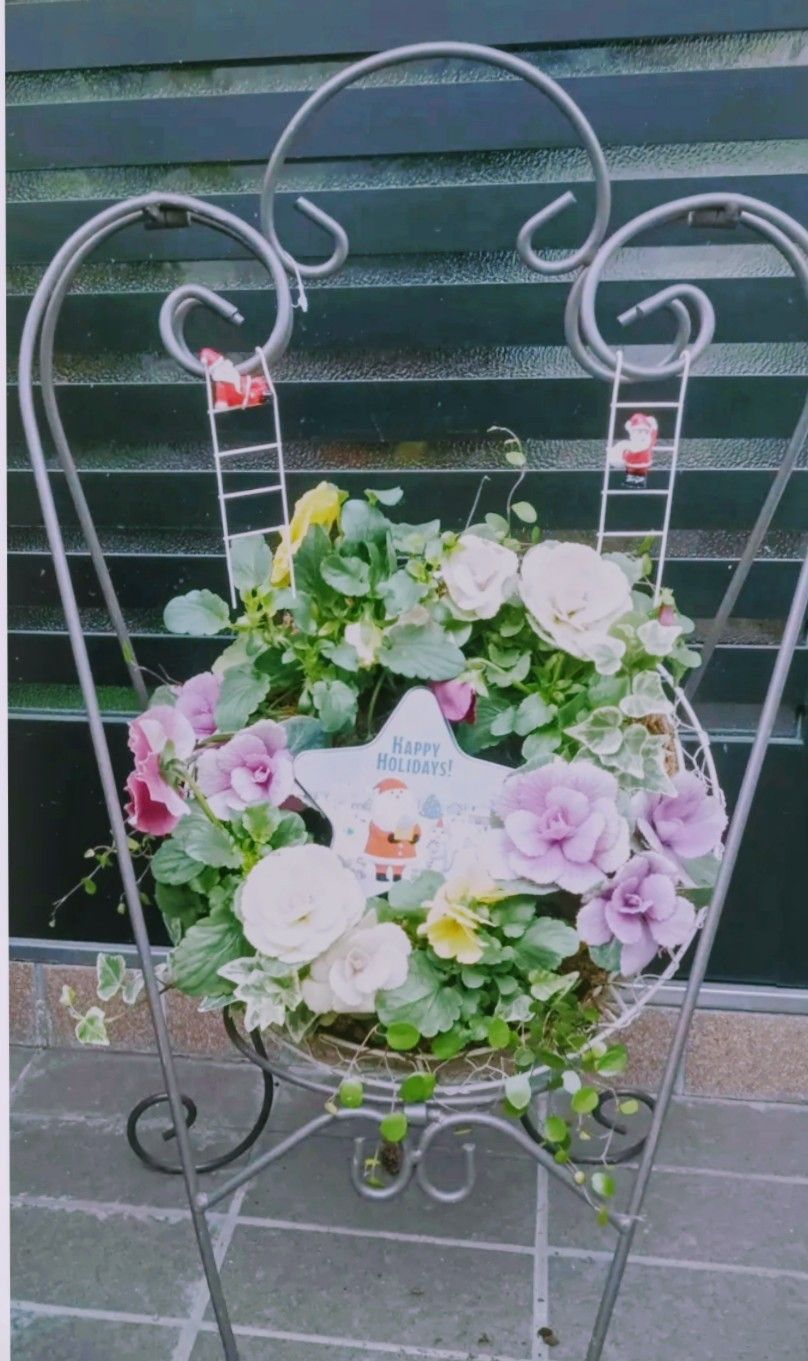 寄せ植え | くらシェア