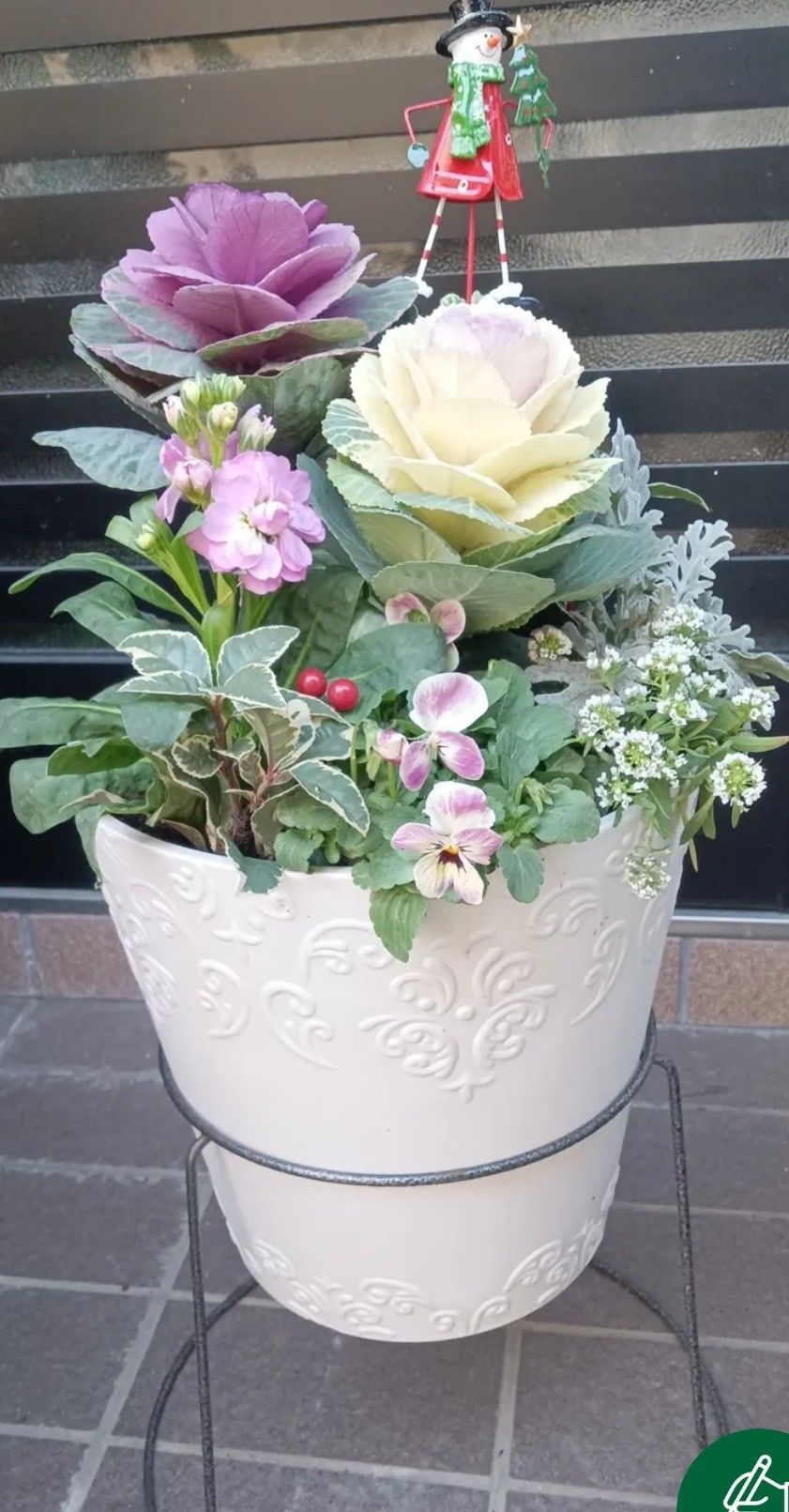 寄せ植え | くらシェア