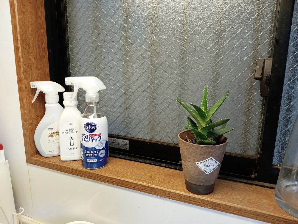 観葉植物 | くらシェア