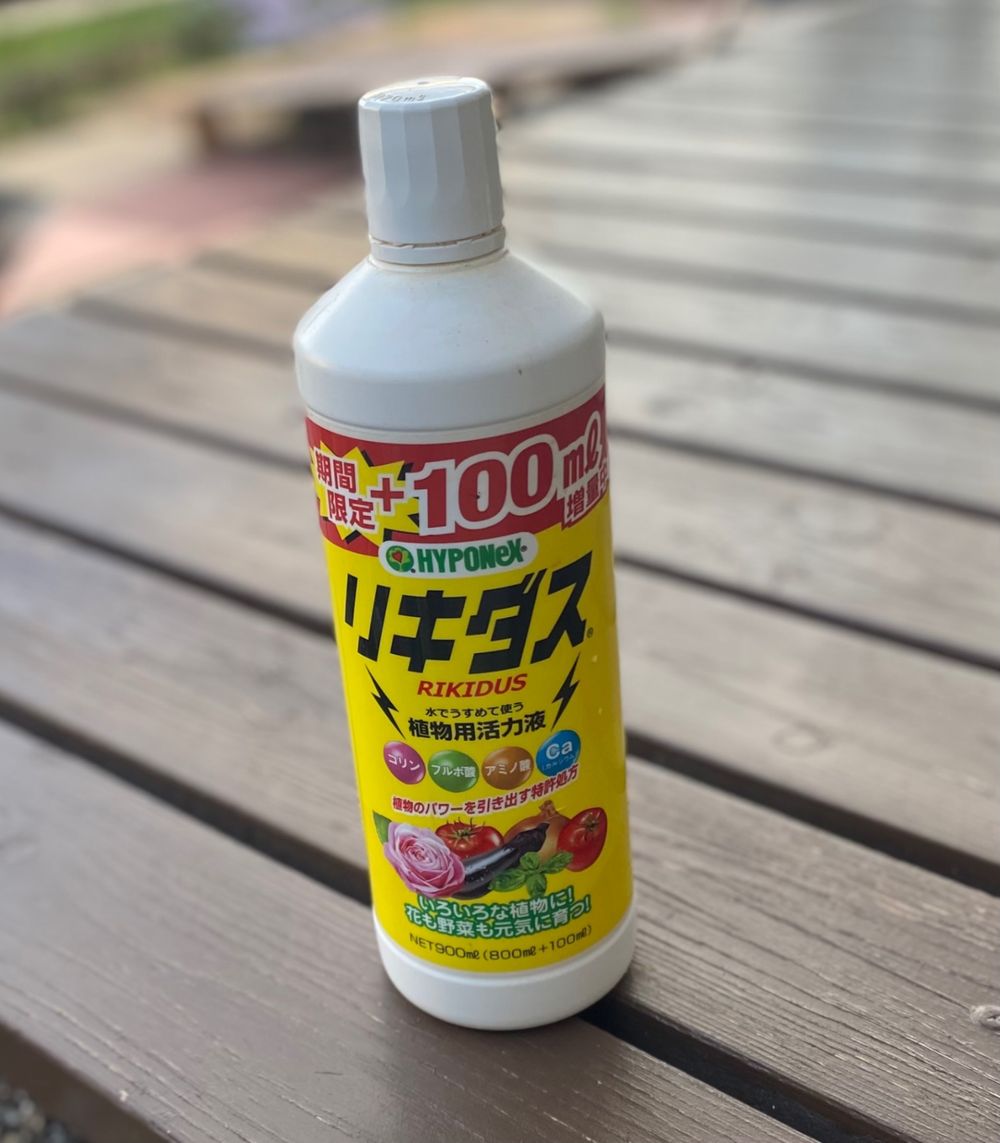 ハイポネックス リキダス 期間限定 増量 植物用活力剤 900ml | 用土