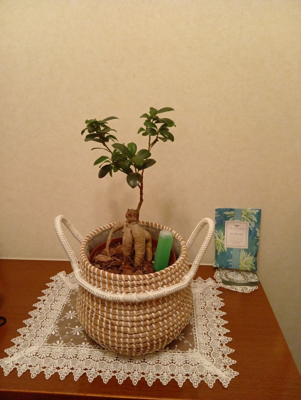 お部屋に馴染む 天然素材バスケット | くらシェア