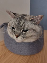 user-icon
