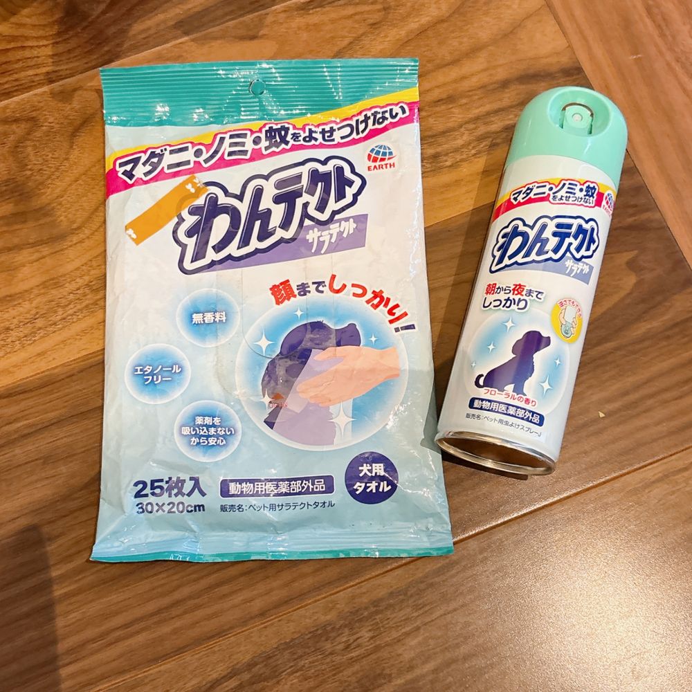 これからの季節の散歩に