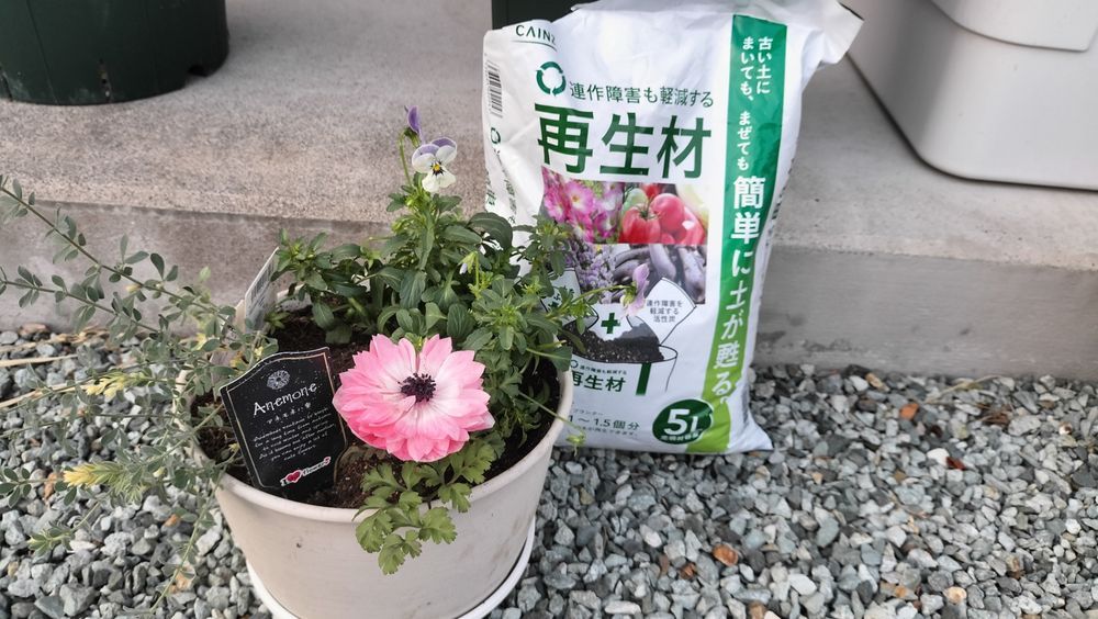 お花が元気になります | くらシェア