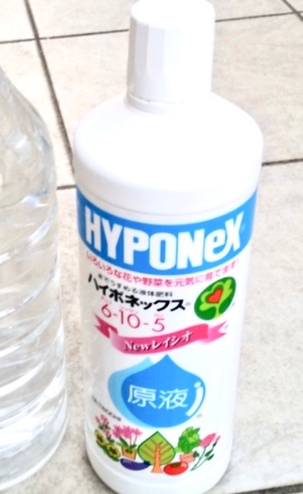元素、ぺあぶら、ねろす とりあえず1本 | くらシェア