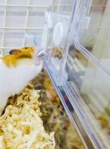 クリーンケージ460 ハムスター用 | ペット用品（小動物・鳥・亀