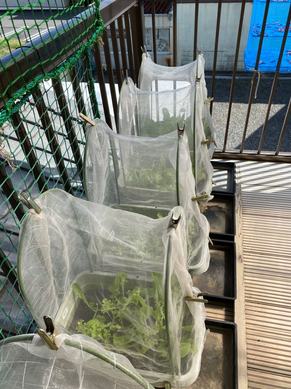 ネット　６ｍ×５ｍ セキスイ トンネル支柱 8mm×1500mm 5P | 被覆資材 通販