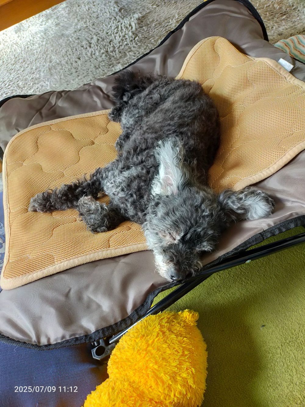 誕生日プレゼント🎁 | くらシェア