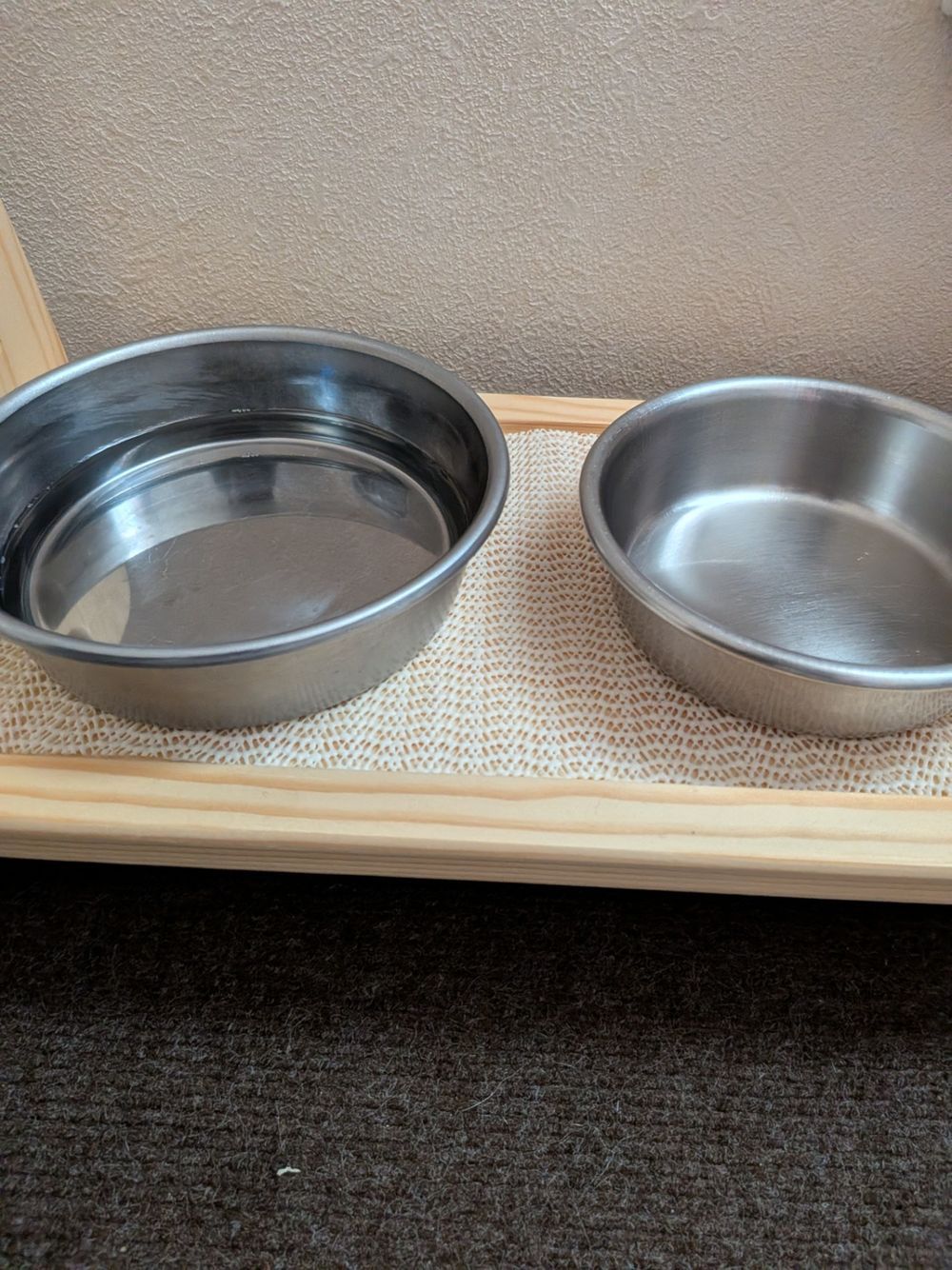 我が家のペットの食卓🐕