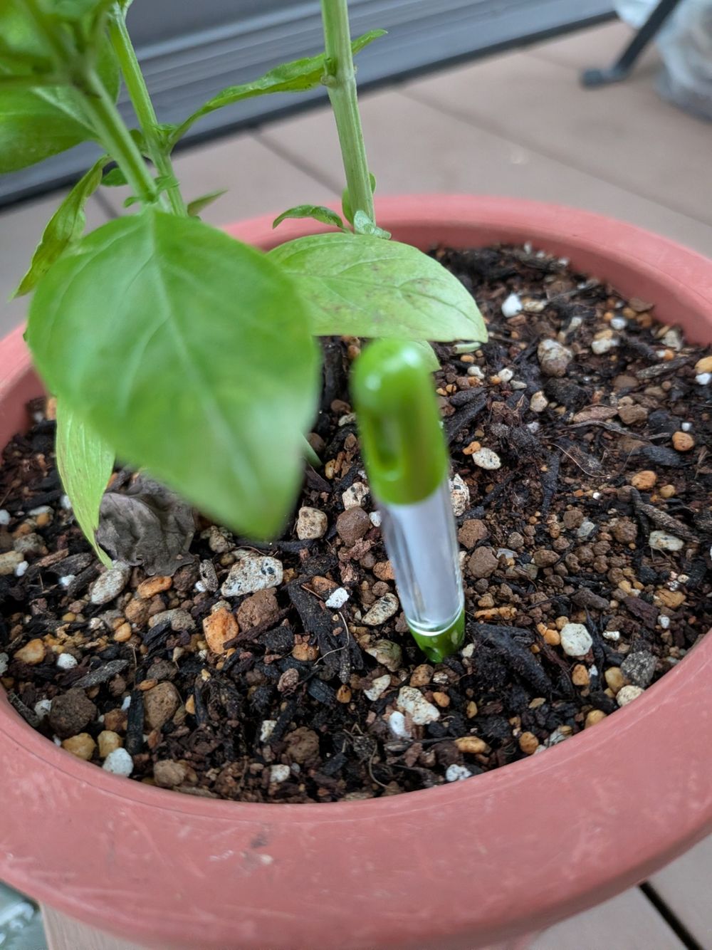 水やりのタイミングが一目でわかります🌱 | くらシェア
