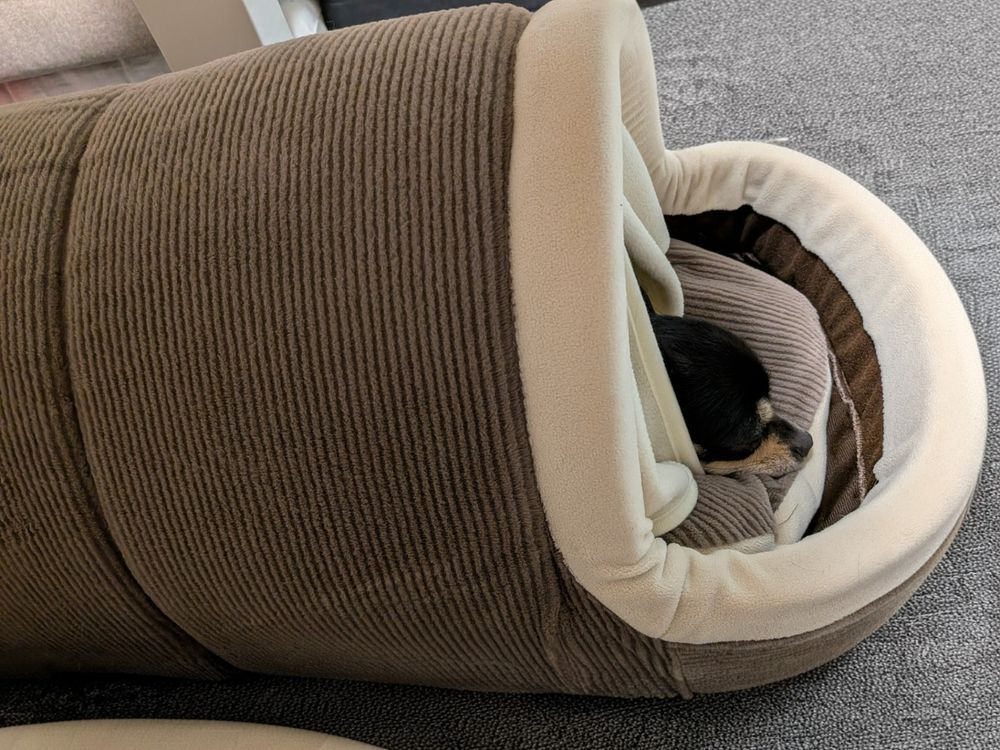 電気のいらない保温ベッドＭ　ストライプモカ