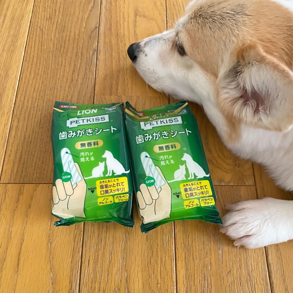 歯磨きシート