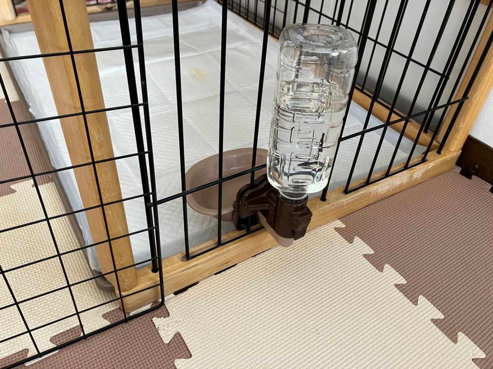水飲み場の定位置