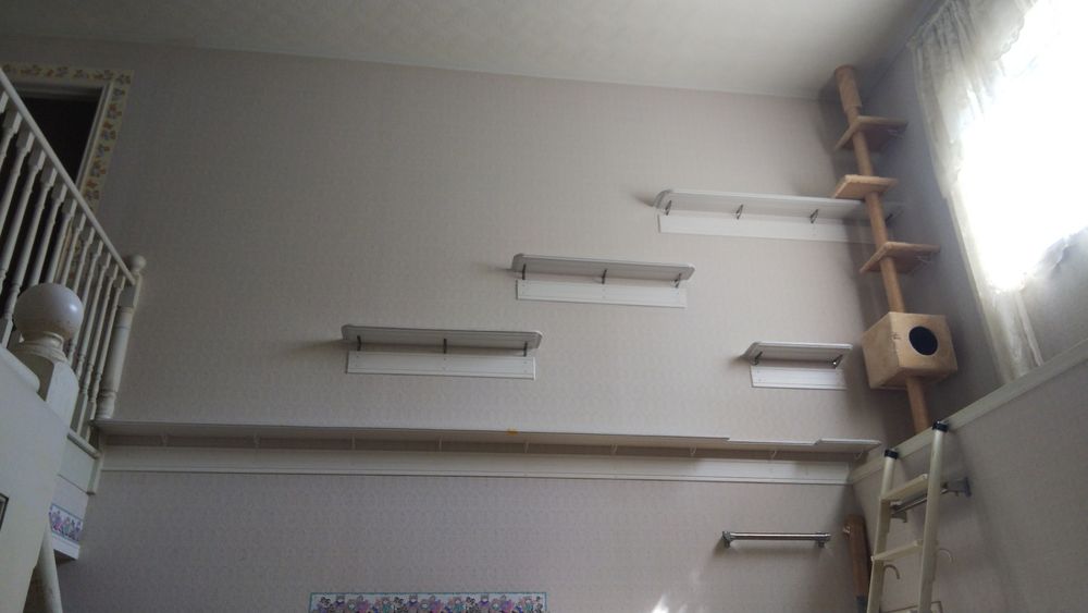 使っていない空間を有効活用！