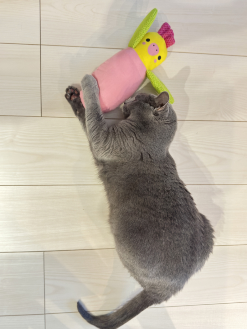 けりぐるみ