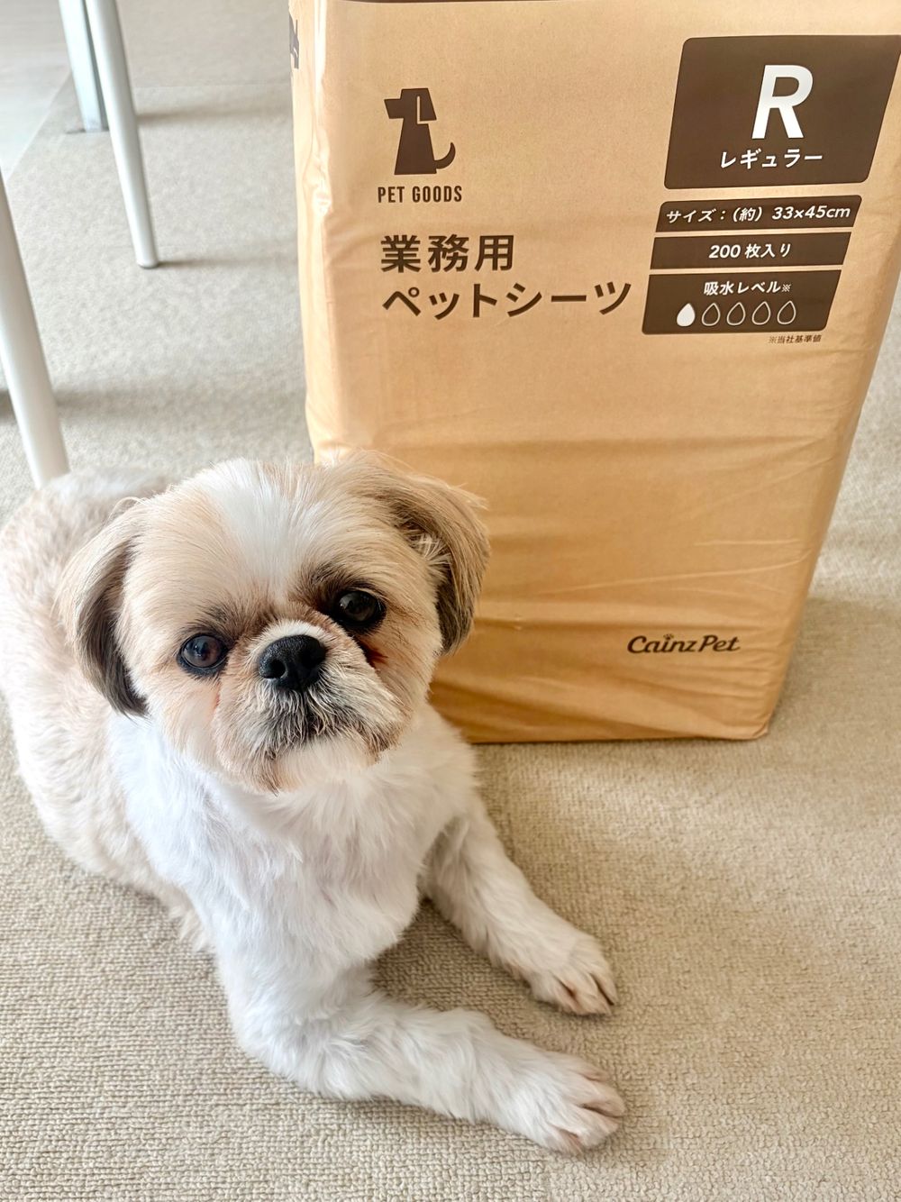 コスパ最強ペットシーツ
