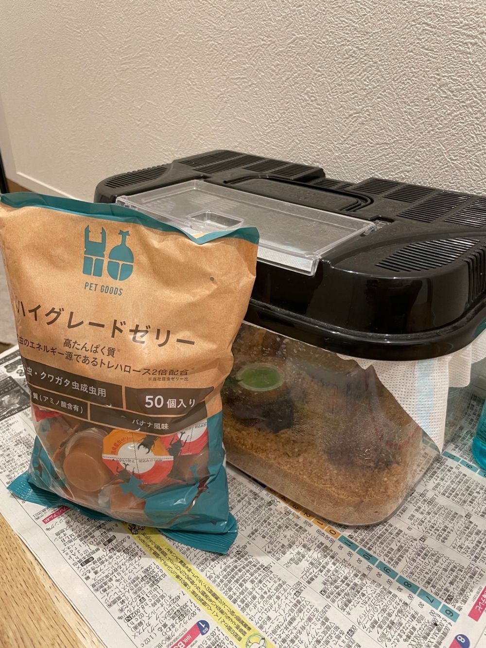 夏休みの家族