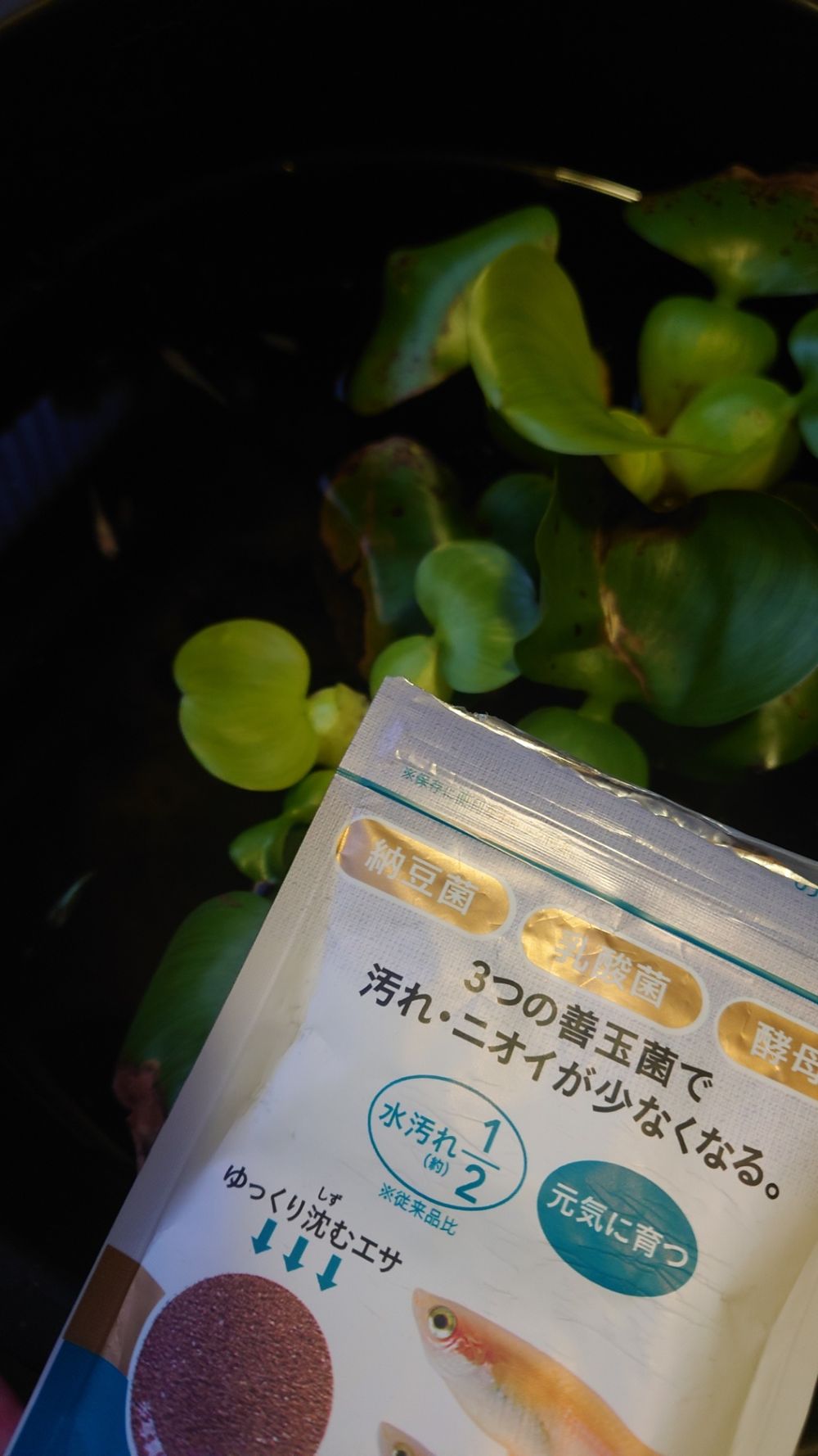 メダカのエサ